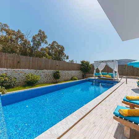Villa Doga Manzarali Korunakli Sura